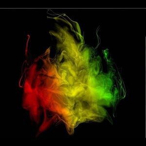 Meet your Posher, Sasha